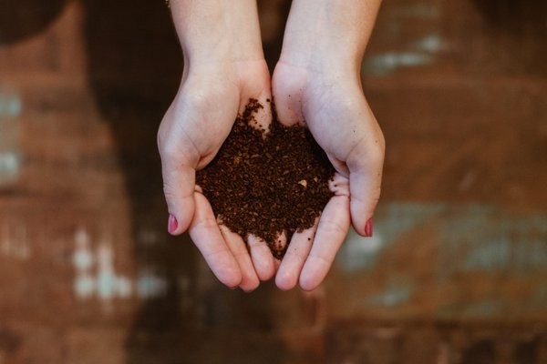 Les méthodes les plus efficaces pour le compostage des déchets verts 