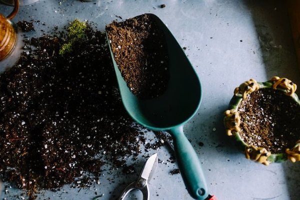 Comment transformer les déchets verts en engrais naturel ? 